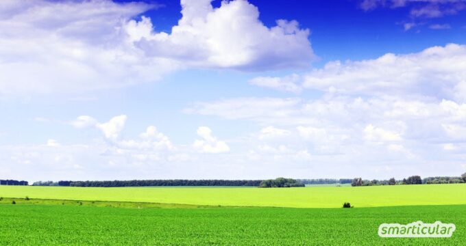 Kaufen macht glücklich? Viele Menschen definieren sich inzwischen über Kaufkraft und Besitztümer und sind trotzdem nicht glücklich. Kann weniger mehr sein?