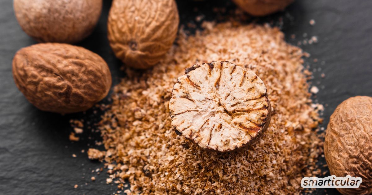 Vom Wundergewürz Muskatnuss reicht schon eine kleine Prise. Sie sorgt aber nicht nur für ein besonderes Aroma, sondern ist noch dazu gesund!