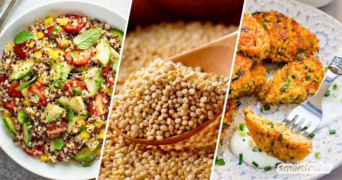 Quinoa gehört zu den besten pflanzlichen Proteinquellen und enthält reichlich Vitalstoffe. Genieße das Superfood mit diesen Rezepten!
