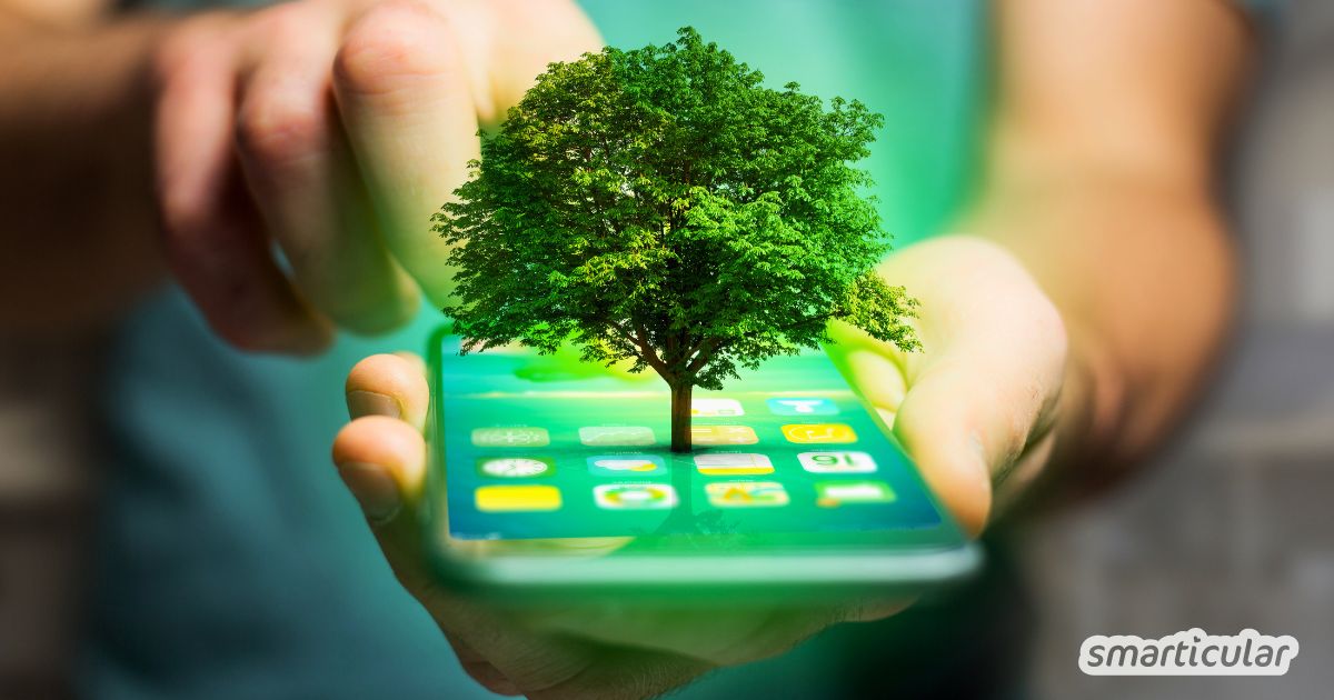 Entdecke die besten nachhaltigen Apps für deinen Alltag: Bewusst einkaufen, Müll vermeiden, Lebensmittel und andere Ressourcen sparen.