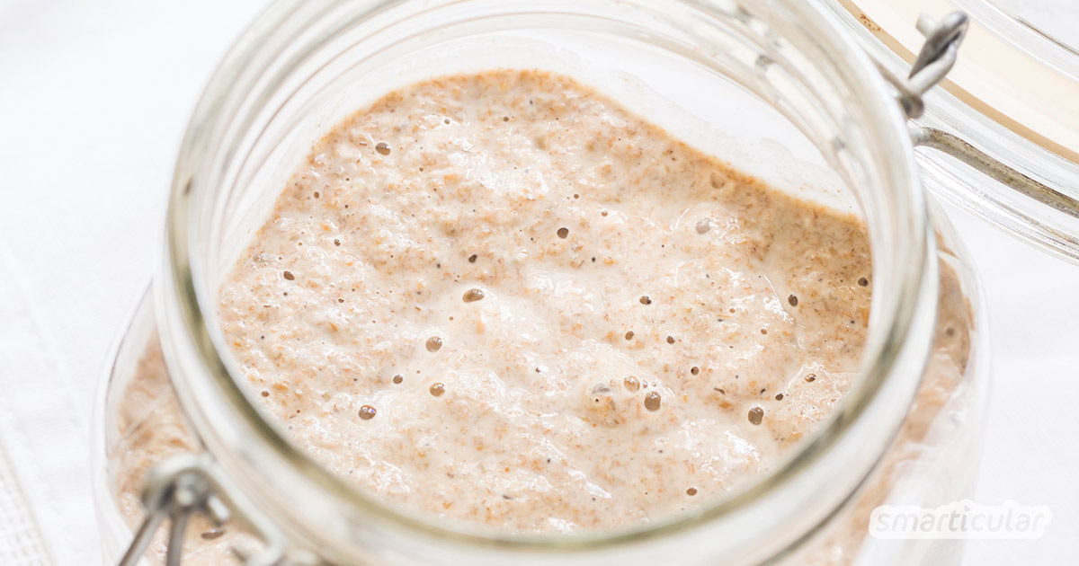 Sauerteig Ansetzen Von Grund Auf Selbstgemacht