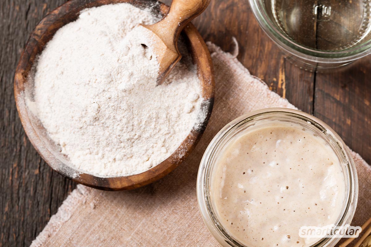 Sauerteig ansetzen ist gar nicht schwer - du brauchst nur Mehl und Wasser, um das Anstellgut für Sauerteigbrot und -brötchen selber herzustellen und immer wieder zu verwenden.