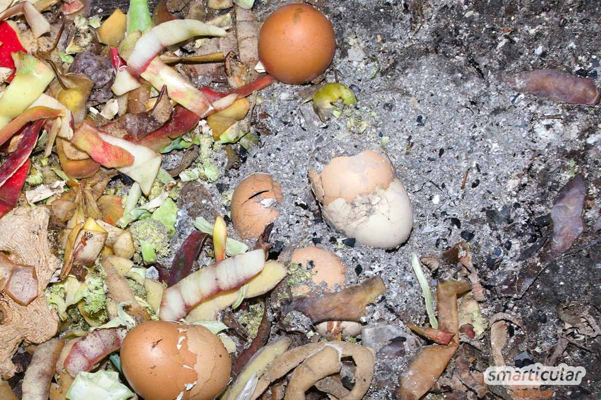 Asche als Dünger wertvollen KaliumDünger aus Holzasche selber machen