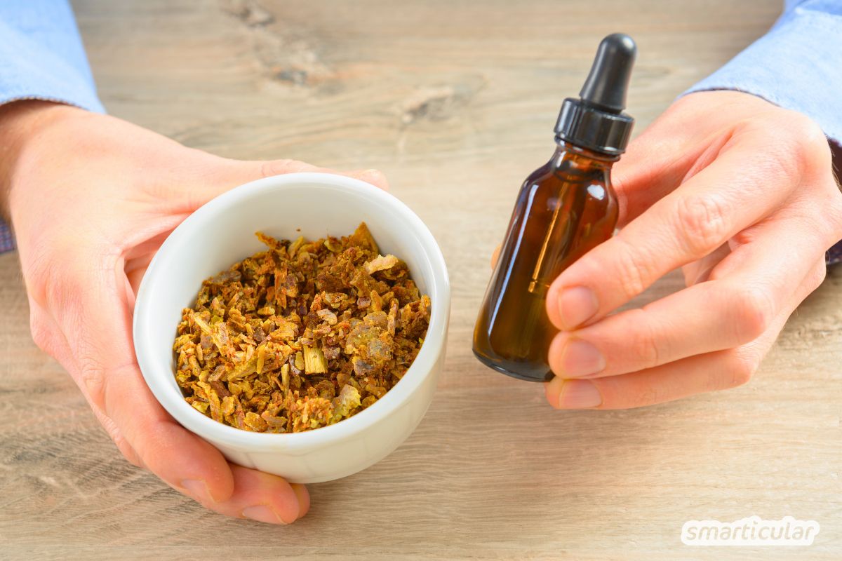 Was ist Propolis und wie wirkt es? Erfahre alles über die Inhaltsstoffe, Risiken und Anwendungsmöglichkeiten des potenten Bienenharzes.