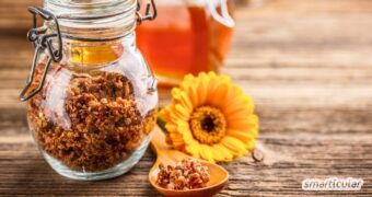 Was ist Propolis und wie wirkt es? Erfahre alles über die Inhaltsstoffe, Risiken und Anwendungsmöglichkeiten des potenten Bienenharzes.