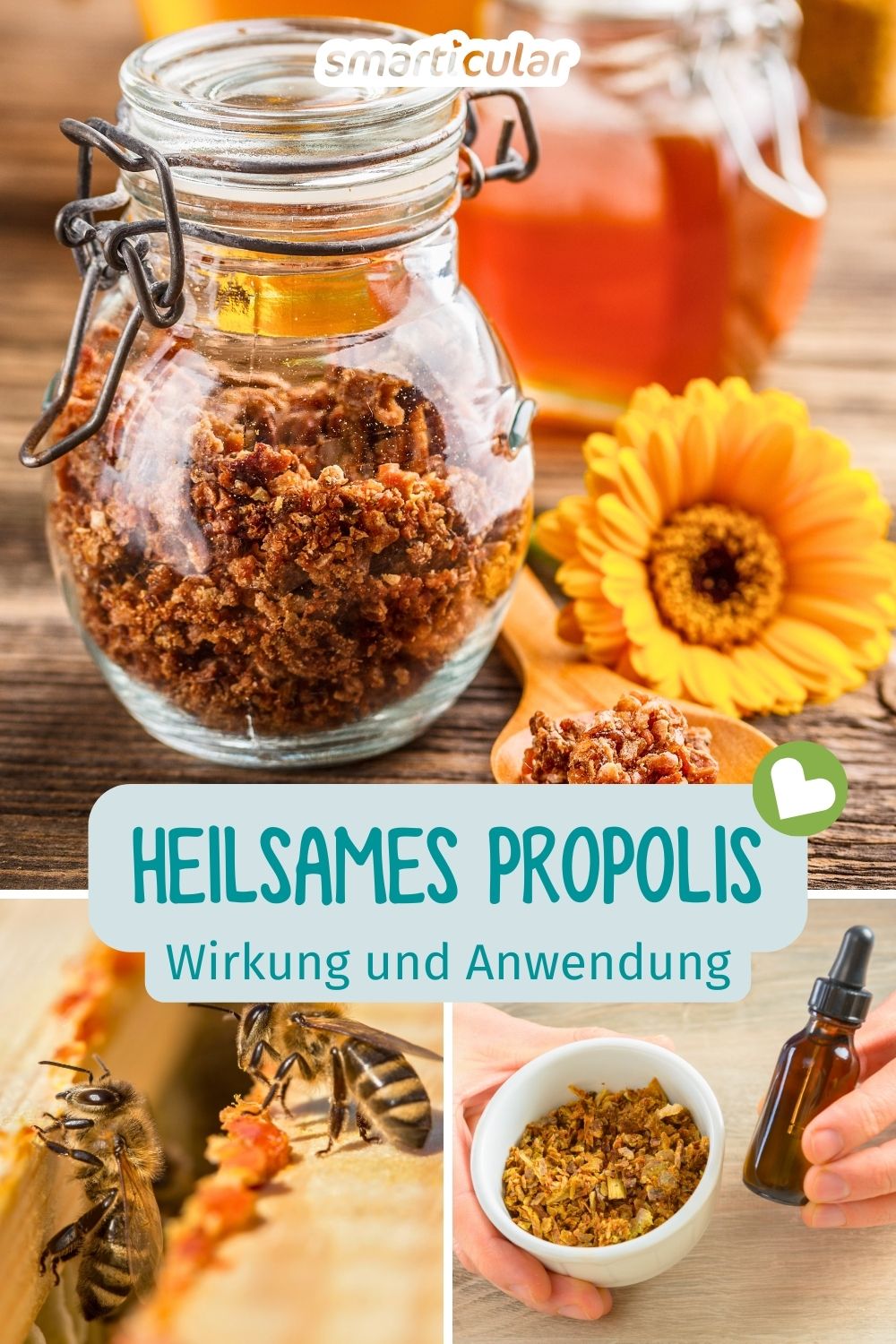 Was ist Propolis und wie wirkt es? Erfahre alles über die Inhaltsstoffe, Risiken und Anwendungsmöglichkeiten des potenten Bienenharzes.
