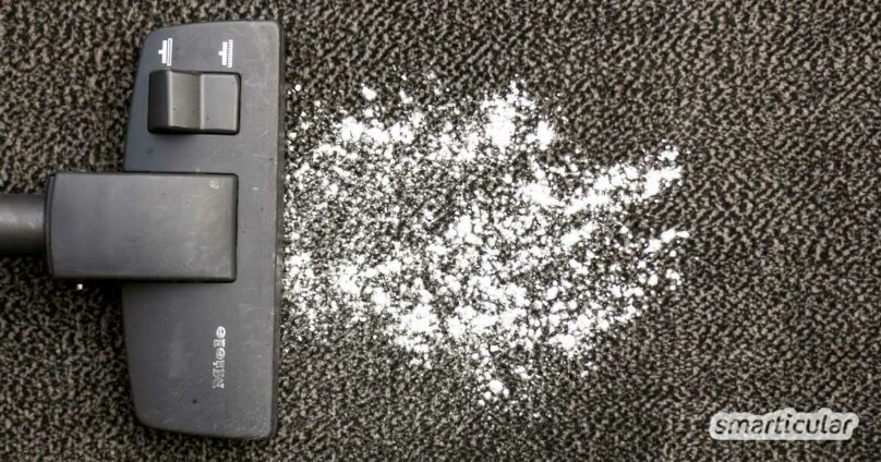 Egal ob aus Mais, Pfeilwurz oder Kartoffeln, Lebensmittelstärke ist in jedem Haushalt zu finden. Wusstest du aber, wie viele kleine Probleme sie lösen kann?