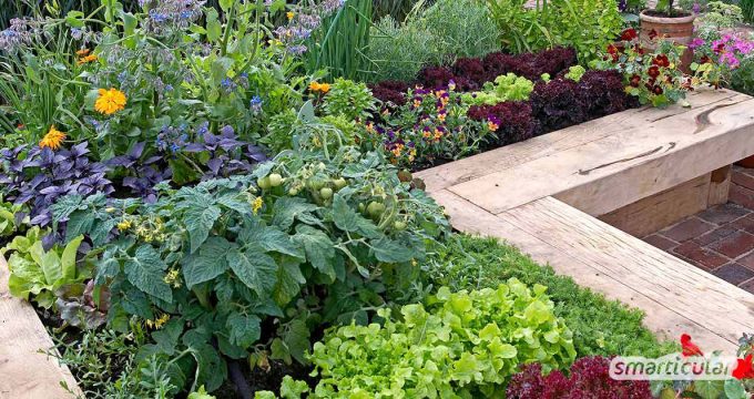 Rasen in Beet umwandeln Mulchbeet anlegen ohne Umgraben