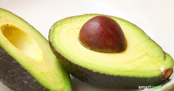 Die Avocado gilt als gesundes Superfood doch sind viele der Vitalstoffe im Kern gespeichert. Finde heraus, was sie für deine Gesundheit leisten können.