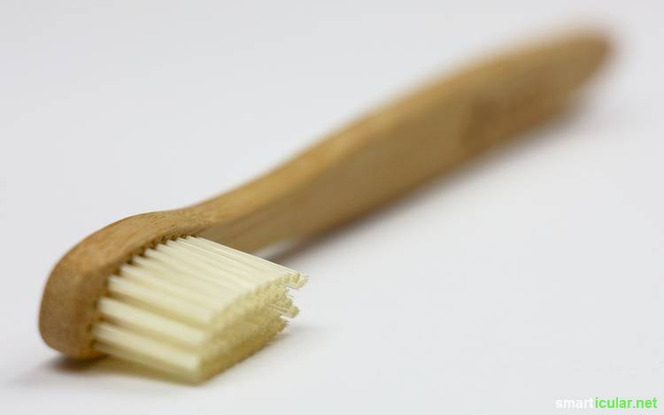 Zähne putzen ohne Kunststoff? Geht das? Wir haben Zahnbürsten aus Bambus und Buchenholz getestet und verglichen. Hier das Ergebnis.