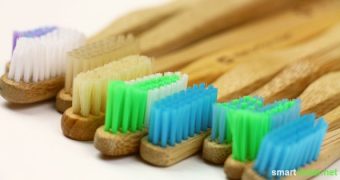 Zähne putzen ohne Kunststoff? Geht das? Wir haben Zahnbürsten aus Bambus und Buchenholz getestet und verglichen. Hier das Ergebnis.
