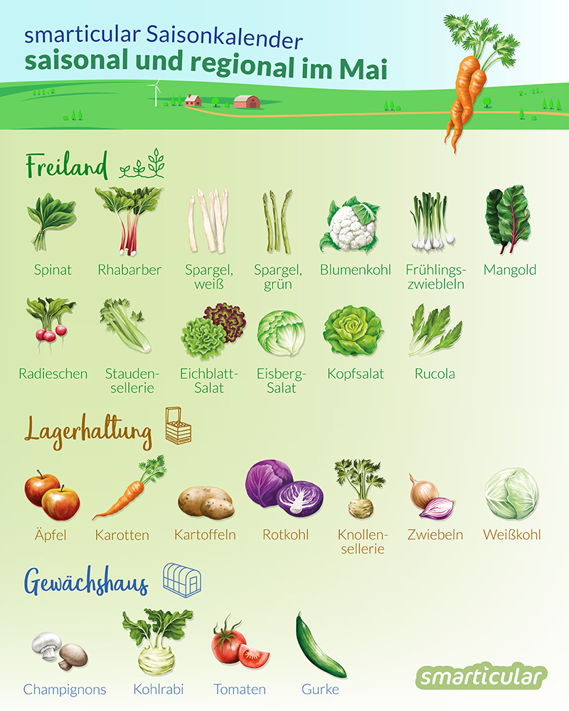 Im Mai wird das erste regionale Obst reif und auch einige Gemüsesorten haben Saison. Erdbeeren, Rhabarber, Spargel, neue Kartoffeln und andere sind jetzt auf Märkten und im Laden erhältlich.
