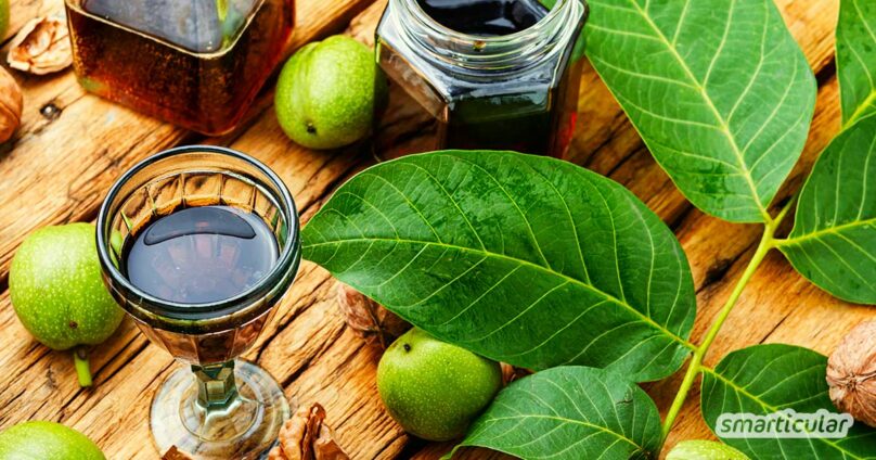 Rezept f&uuml;r Walnusslik&ouml;r (Orahovac)