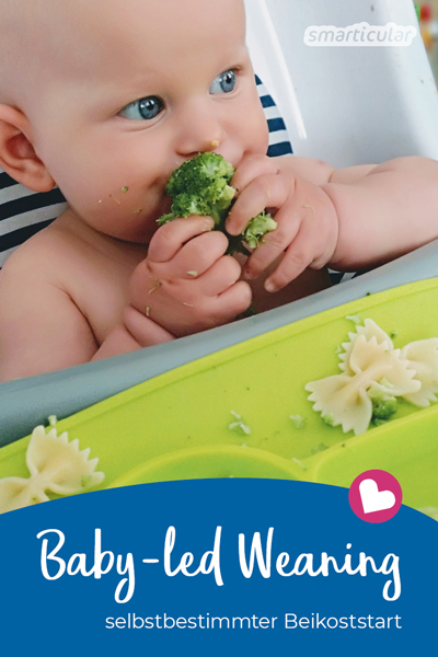 Dein Baby tut sich schwer mit herkömmlichem Brei? Überlasse doch einmal deinem Kind die Wahl, was es essen möchte. So lernt es schnell und selbstbestimmt!