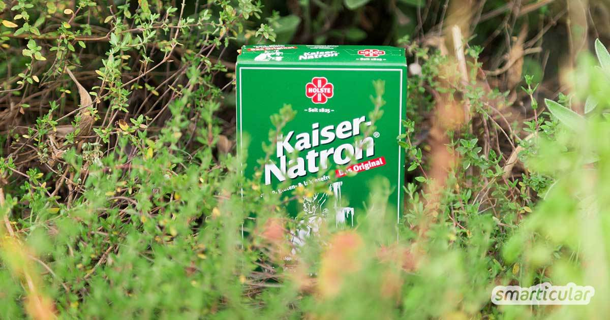 Natron ist eine vielseitige Allzweckwaffe im Haushalt und für die Gesundheit. Aber auch im Garten kann das weiße Pulver gute Dienste erweisen!