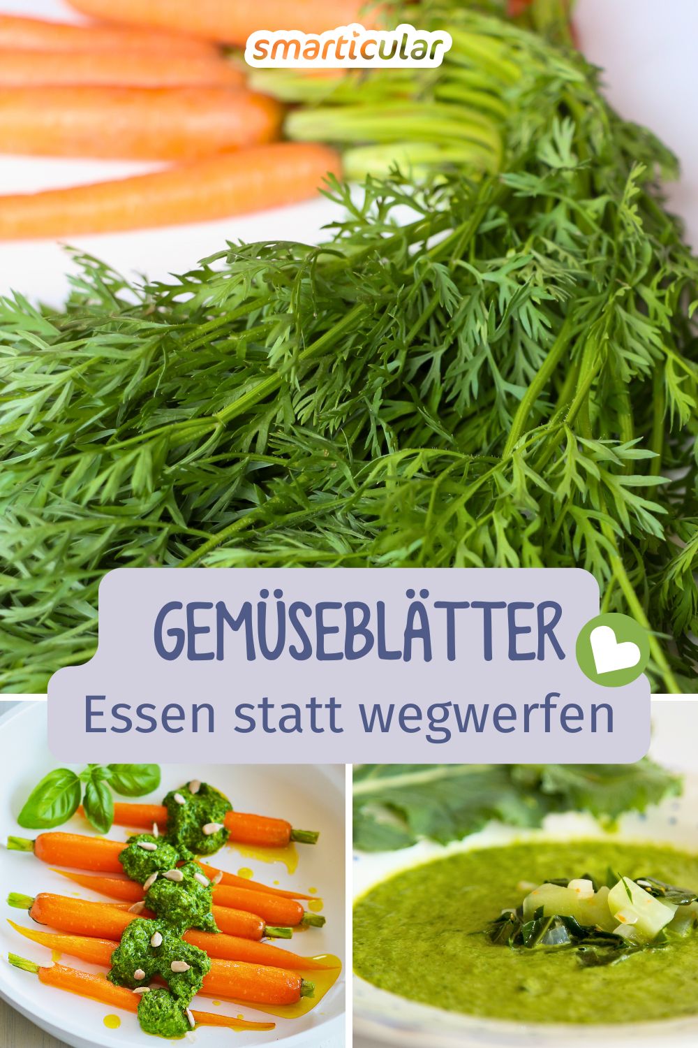 Manche Gemüseblätter sind gesünder als die Früchte! Hier findest du Rezepte mit essbarem Gemüsegrün und erfährst, welche nicht essbar sind.
Textauszug bearbeiten