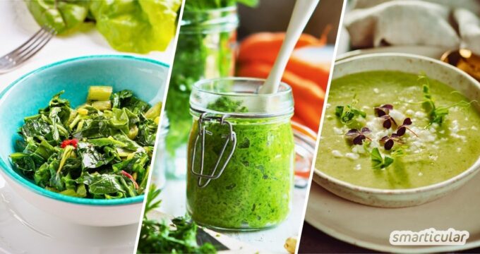 Manche Gemüseblätter sind gesünder als die Früchte! Hier findest du Rezepte mit essbarem Gemüsegrün und erfährst, welche nicht essbar sind.