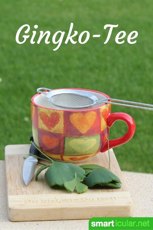Ein Teeaufguss aus frischen oder getrockneten Ginkgo-Blättern steigert Konzentration und Leistungsfähigkeit. Mehr zu Rezept und Anwendung hier. 