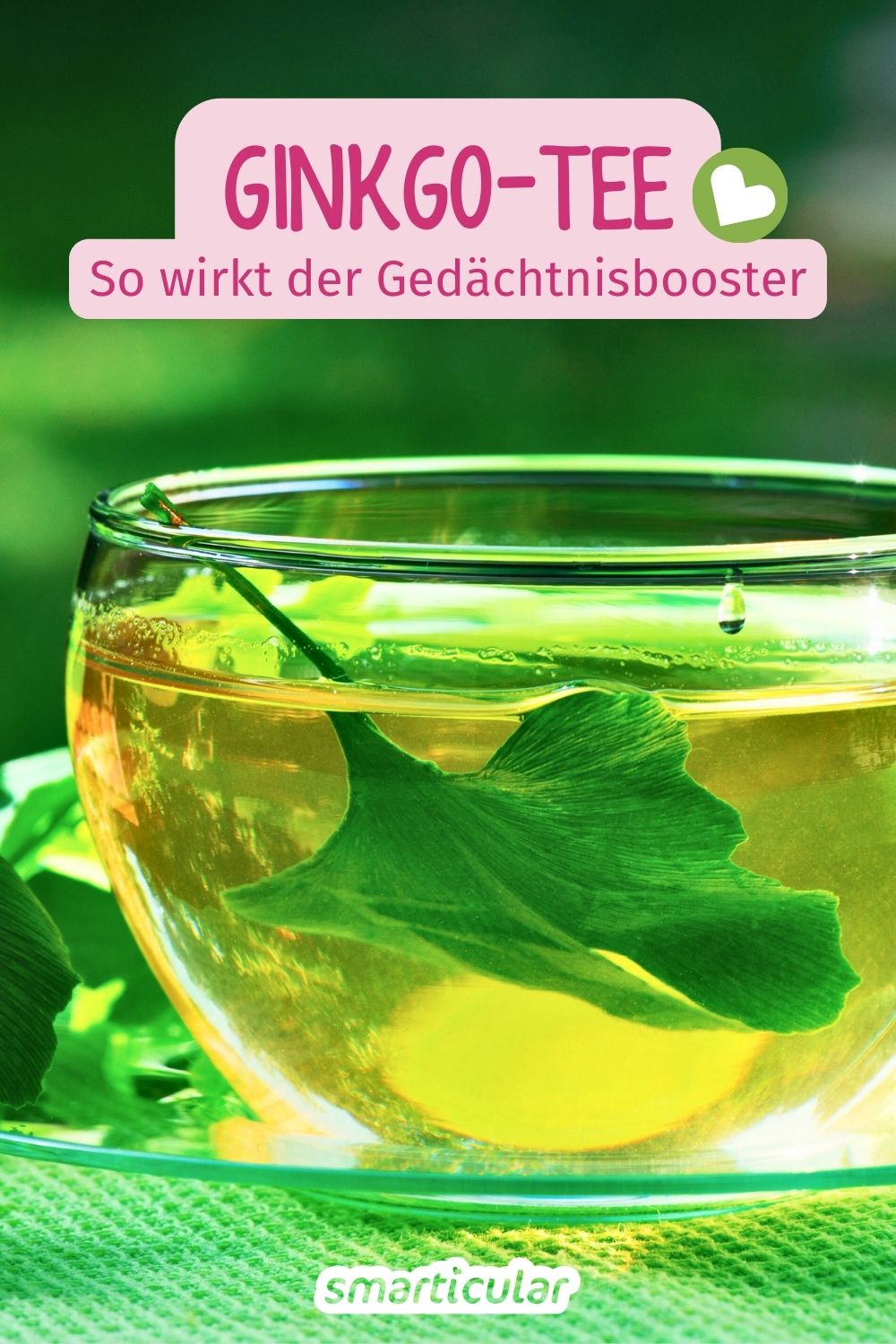 Ginkgo Tee selber machen: Erfahre alles über die richtige Zubereitung und die Wirkung des natürlichen Gedächtnis-Boosters.