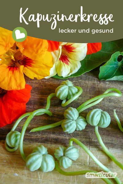 Ein pflegeleichtes Gartenwunder, welches du vielfältig in der Küche, im Garten, für Gesundheit und für gesundes Haarwachstum nutzen kannst