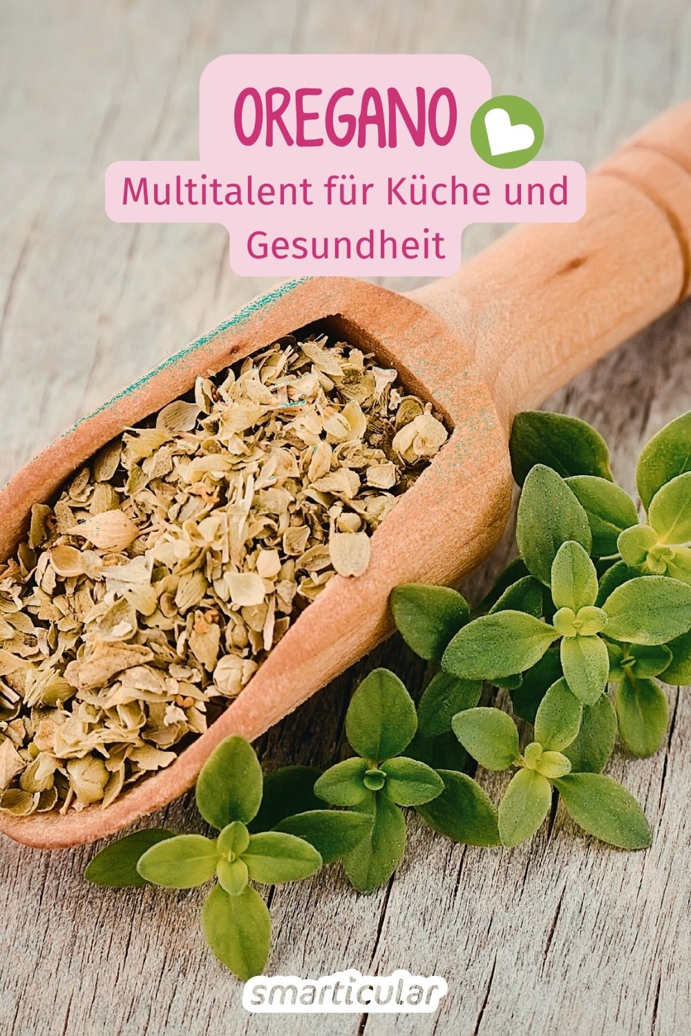 Oregano ist mehr als ein Pizzagewürz: Erfahre, wie das aromatische Kraut Gesundheit, Hautpflege und Haushalt bereichert.