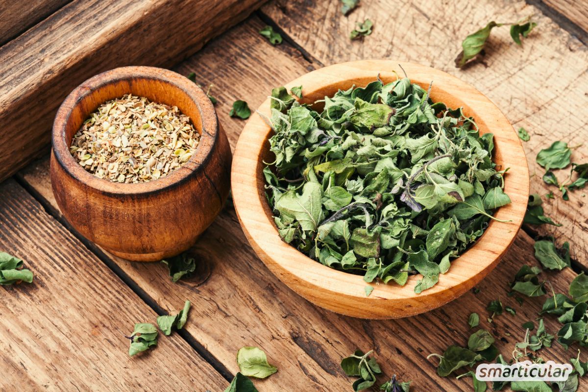 Oregano ist mehr als ein Pizzagewürz: Erfahre, wie das aromatische Kraut Gesundheit, Hautpflege und Haushalt bereichert.