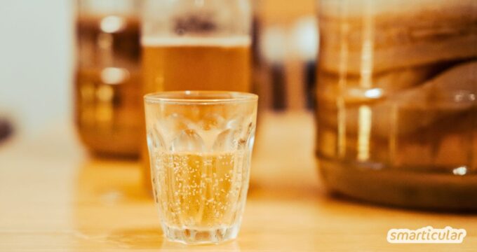 Selbstgemachte Kombucha Getränke sind günstiger und gesünder! Erfahre wie einfach sie herzustellen sind in unserem Kombucha Grundrezept.