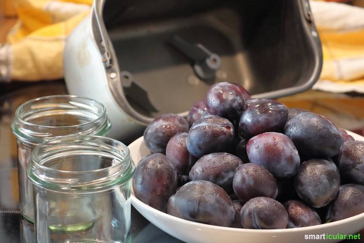 Pflaumenmus herstellen, während du etwas anderes machst? Mit unserem Rezept für den Backautomaten kocht sich dein Fruchtmus (fast) von selbst.