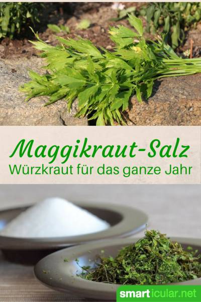 Nie mehr Maggi kaufen! Mit diesem Rezept stellst du aus Salz und frischem Liebstöckel eine gesunde Alternative zum Würzen von Eintöpfen, Suppen und Co her!