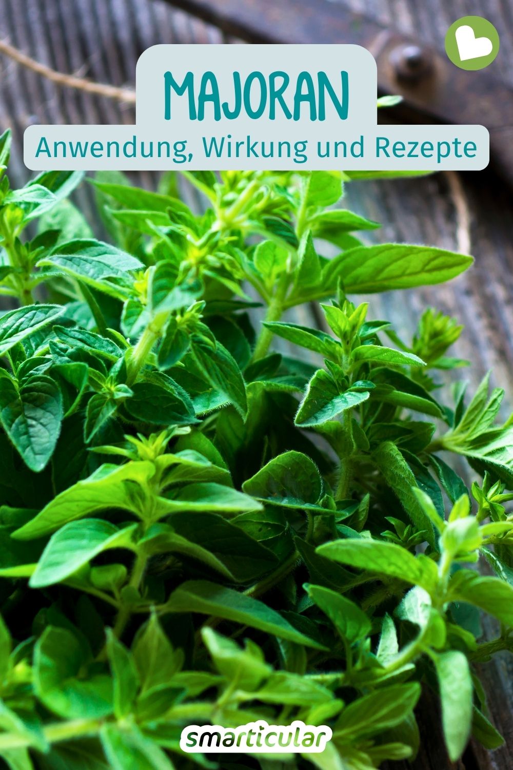 Majoran ist mehr als ein Gewürz: Erfahre alles über Wirkung, Hausmittel, Anwendungen und Rezepte - plus viele weitere Tipps für den Alltag!