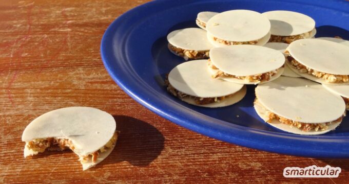 Aus einfachen, natürlichen Zutaten lassen sich gesunde Fruchtriegel selber machen - ein perfekter Snack für zuhause und unterwegs.