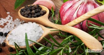 Gesunde Würze aus der Natur! Aus Wildkräutern und Salz ein köstliches Kräutersalz kreieren. Hier findest du geeignete Zutaten und einfache Rezepte.