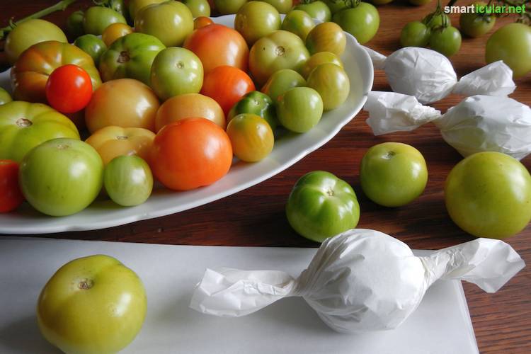 Grüne Tomaten musst du nicht wegwerfen! Mit diesen leckeren Rezepte verwandelst du sie in ganz besondere Geschmackserlebnisse.
