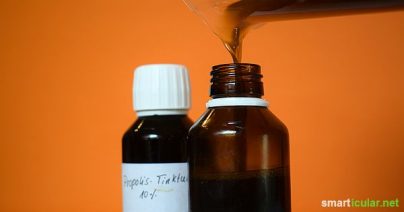 Propolis Tinktur Selber Herstellen