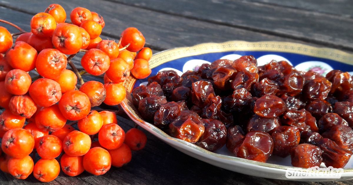 Mit diesem Rezept kannst du aus Vogelbeeren eine leckere Nascherei herstellen.
