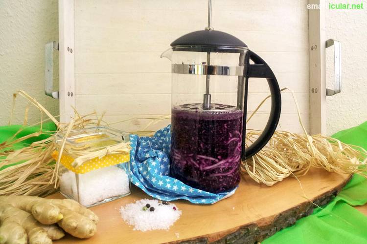 Durch Fermentieren kannst du ganz einfach vitaminreiches Gemüse das ganze Jahr genießen. Mit Anleitung und Rezepten!