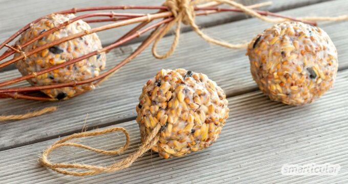 Meisenknödel selber machen ohne Netz: So einfach stellst du nahrhaftes Fettfutter für heimische Singvögel her. 