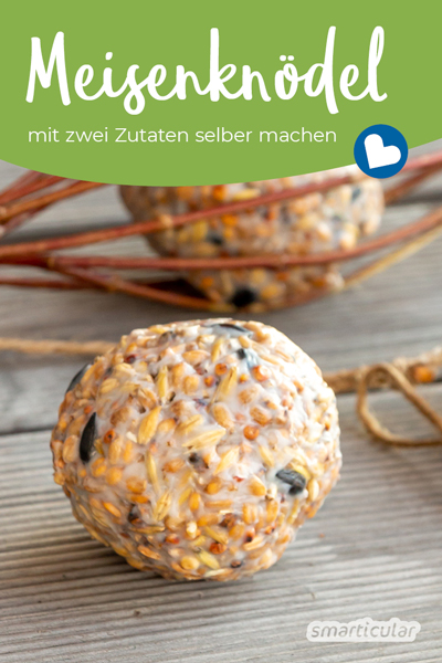 Meisenknödel selber machen ohne Netz: So einfach stellst du nahrhaftes Fettfutter für heimische Singvögel her. 