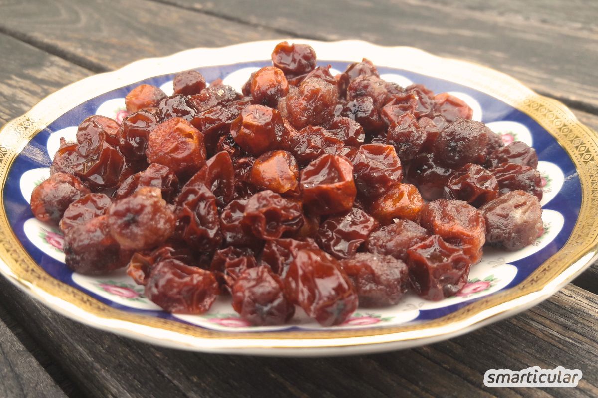 vogelbeeren-kandieren-4 Mit diesem Rezept für kandierte Vogelbeeren kannst du aus den Wildfrüchten eine süß-säuerliche Nascherei herstellen - orignell und lecker!
