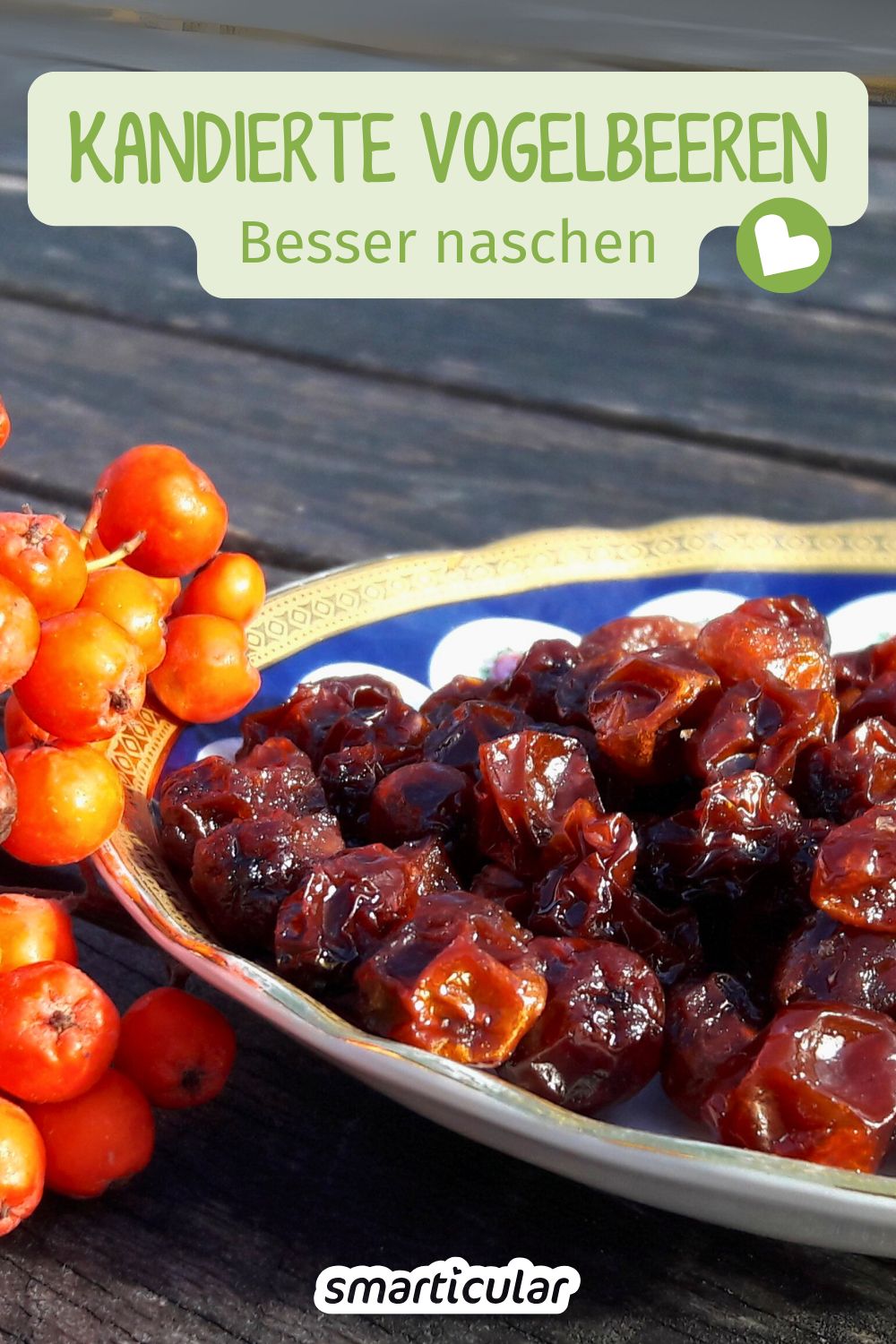 Mit diesem Rezept für kandierte Vogelbeeren kannst du aus den Wildfrüchten eine süß-säuerliche Nascherei herstellen - orignell und lecker!