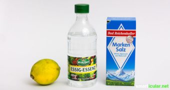 Preiswert und umweltfreundlich. Selbstgemachtes Spülmittel für den Geschirrspüler aus Zitrone, Salz und Essig.