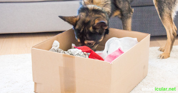 Wie du für deinen Hund mit wenigen Handgriffen aus einem alten Karton ein tolles Spielzeug basteln kannst.