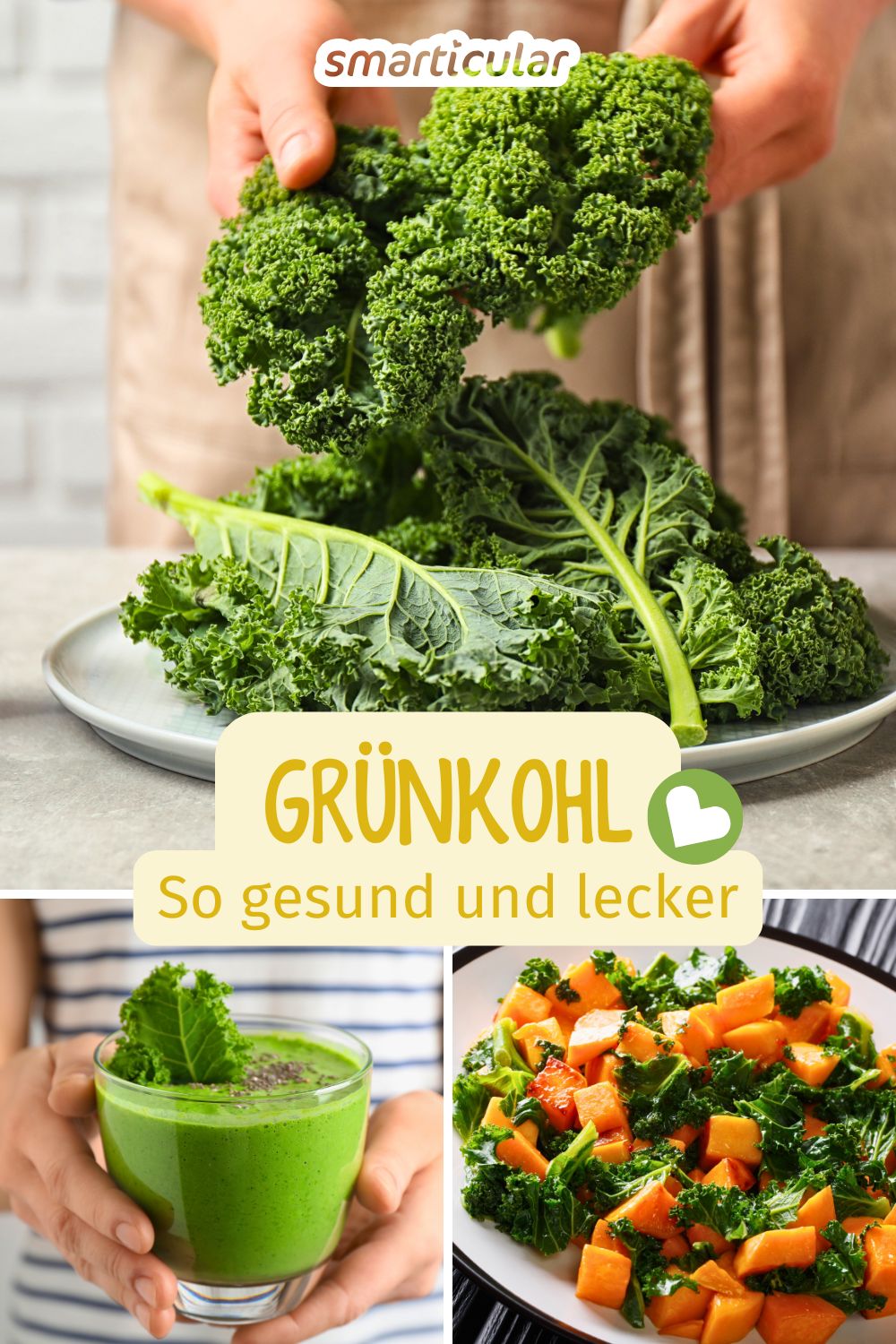 Mit Grünkohl kommst du gesund durch den Winter! Erfahre alles über seine Wirkung und entdecke köstliche Rezepte von klassisch bis modern.