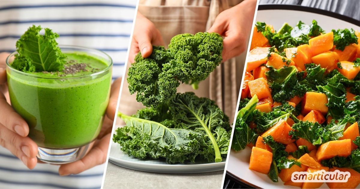 Mit Grünkohl kommst du gesund durch den Winter! Erfahre alles über seine Wirkung und entdecke köstliche Rezepte von klassisch bis modern.
