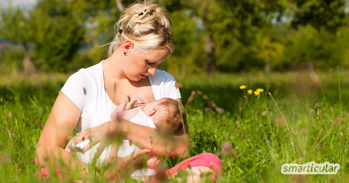 Vom Stillbeginn zum Abstillen: Mit diesen Tipps und natürlichen Hausmitteln kommen du und dein Baby optimal durch die Stillzeit.