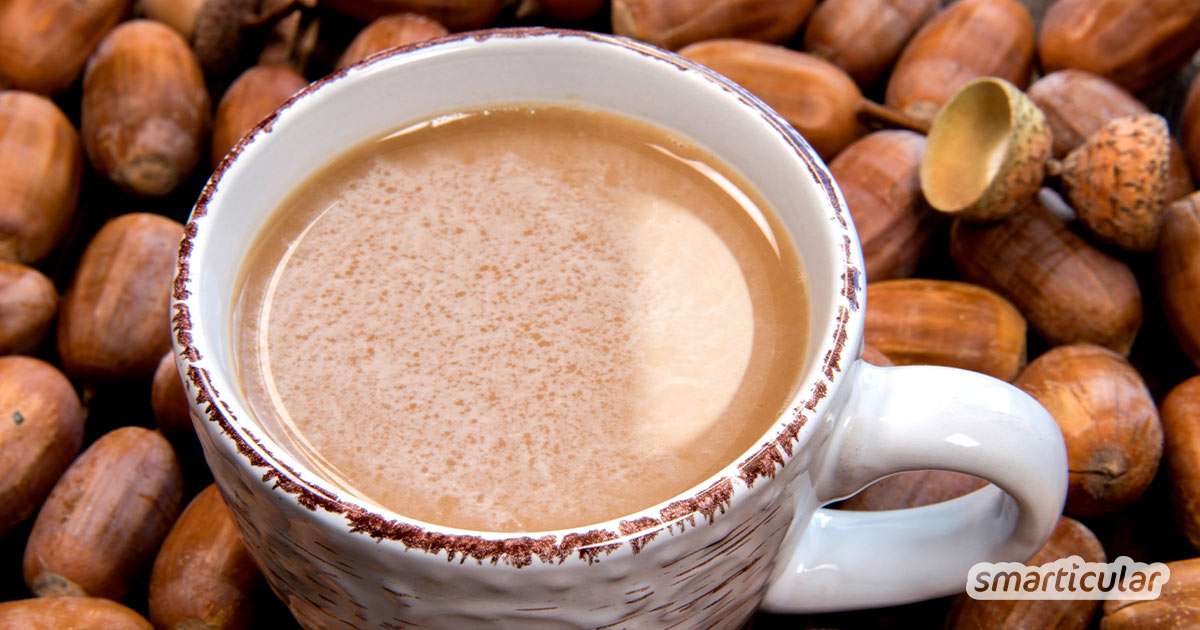 Regionale Alternativen zu Kaffee gesucht? Wir zeigen dir, wie du aus Eicheln, Kastanien und Co. ein ebenso leckeres wie gesundes Getränk herstellen kannst