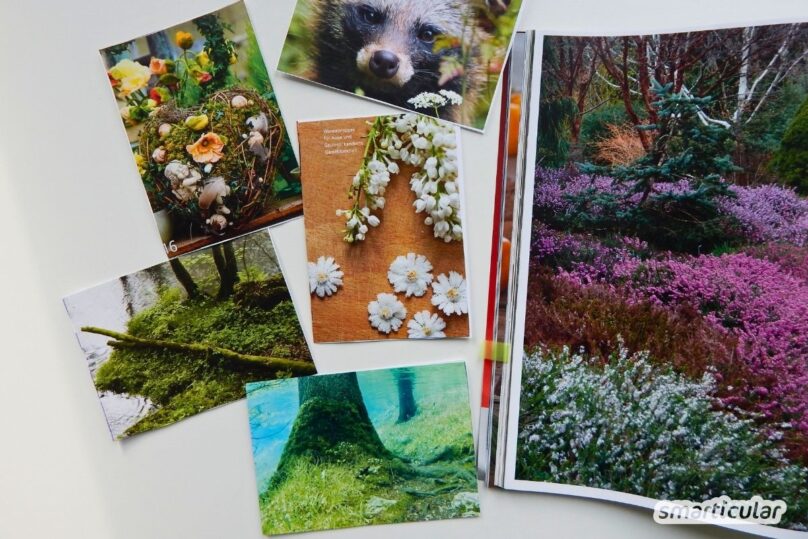 Entdecke kreative Ideen für dein Zeitschriften-Upcycling! Verwandle alte Magazine in tolle Deko, Geschenke und nützliche Alltagshelfer.
