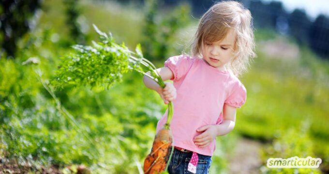 Warum du für dein Kind unbedingt ein Kinderbeet anlegen solltest - mit vielen Tipps für Gestaltung und Pflanzenauswahl.
