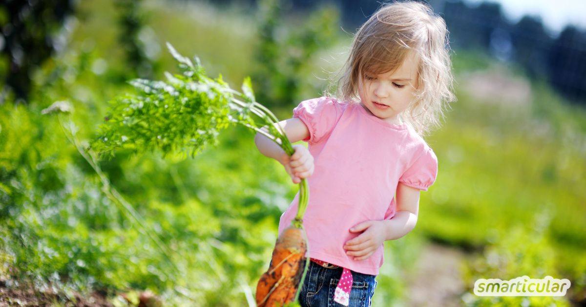 Warum du für dein Kind unbedingt ein Kinderbeet anlegen solltest - mit vielen Tipps für Gestaltung und Pflanzenauswahl.