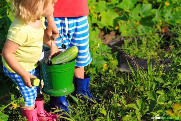 Warum du für dein Kind unbedingt ein Kinderbeet anlegen solltest - mit vielen Tipps für Gestaltung und Pflanzenauswahl.